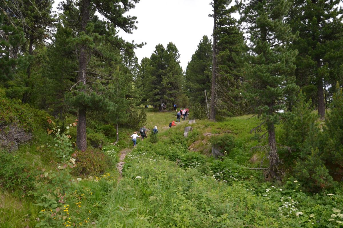 Latschenoelbrennerei und Platzer Alm 09.07.2019